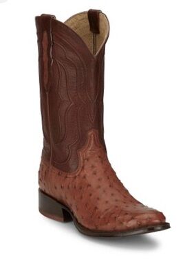 TONY LAMA FULL WUILL OSTRICH LEATHER COWBOY BOOTS  10 1/2.
Worn only a few times